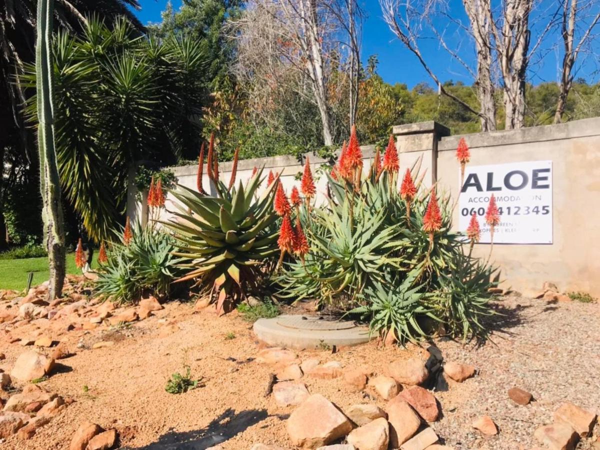 Aloe Guesthouse كليركسدروب المظهر الخارجي الصورة