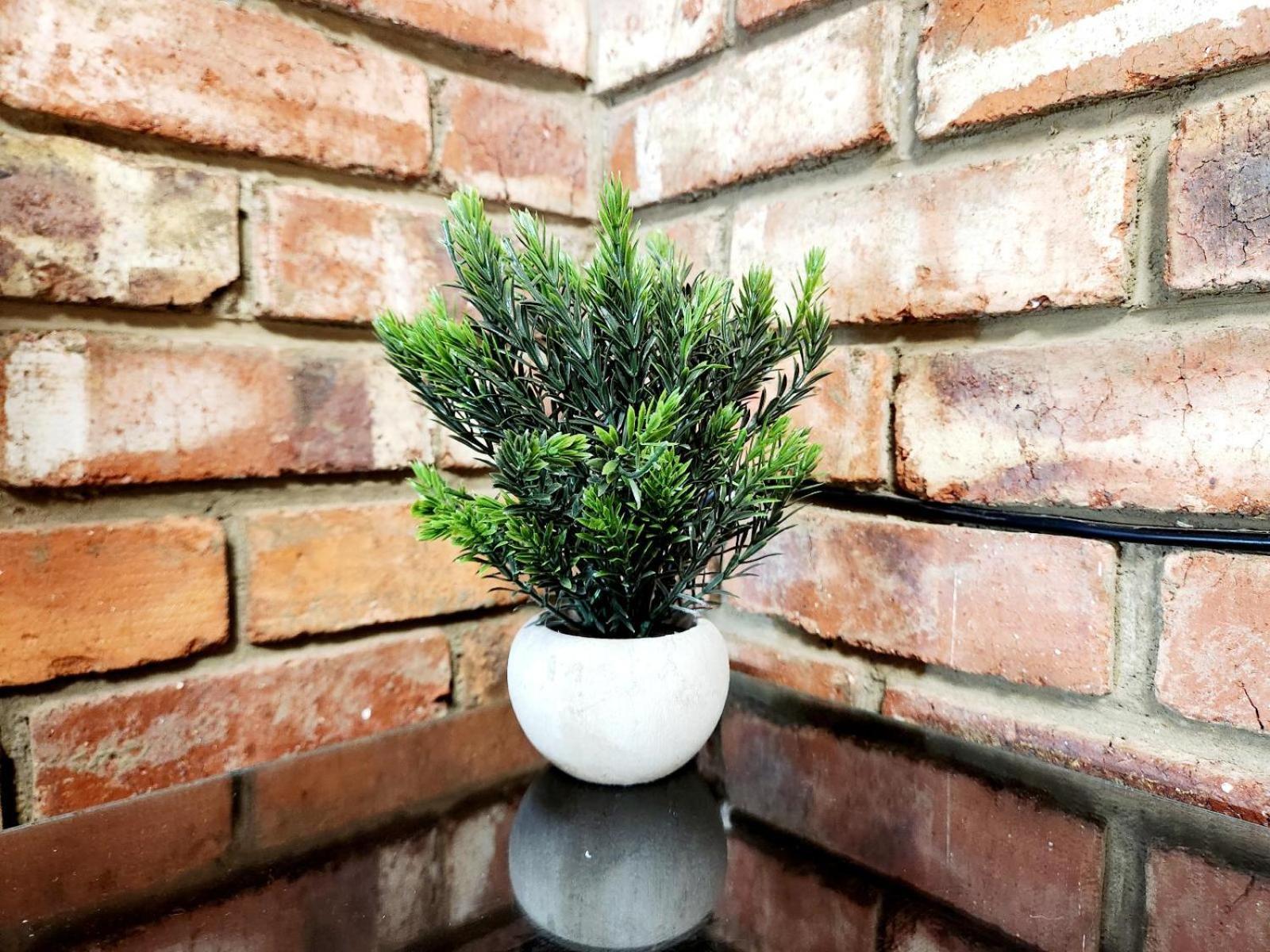 Aloe Guesthouse كليركسدروب الغرفة الصورة