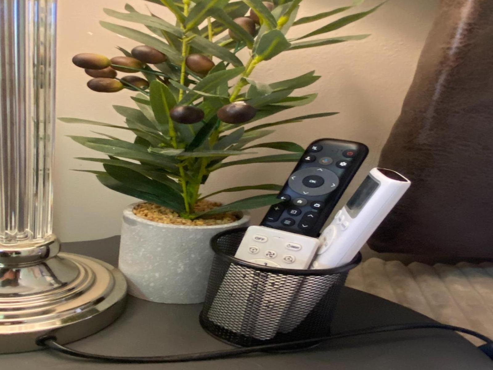 Aloe Guesthouse كليركسدروب الغرفة الصورة